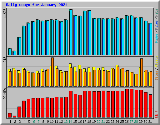 Daily usage for January 2024