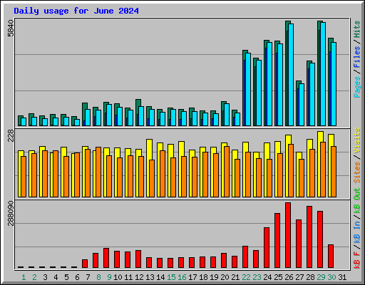 Daily usage for June 2024