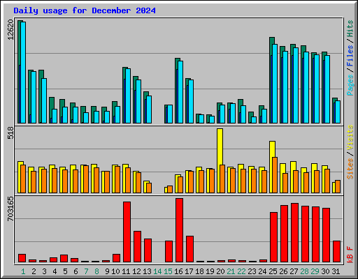 Daily usage for December 2024