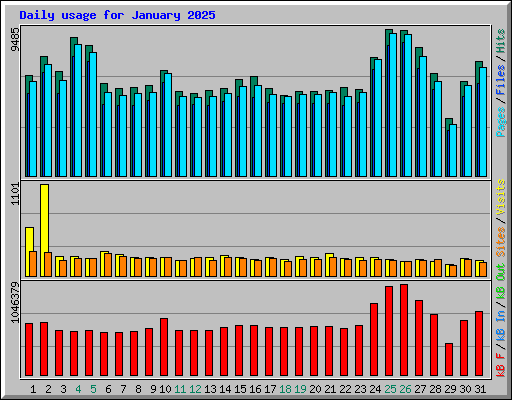 Daily usage for January 2025