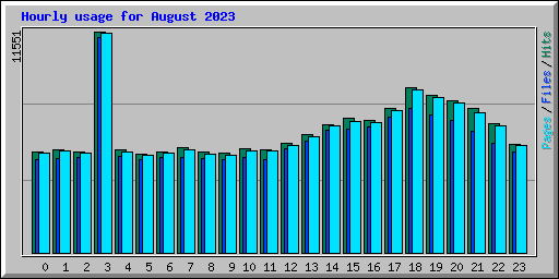 Hourly usage for August 2023