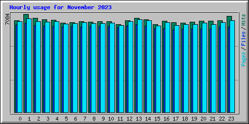 Hourly usage for November 2023