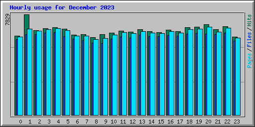 Hourly usage for December 2023