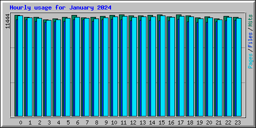 Hourly usage for January 2024