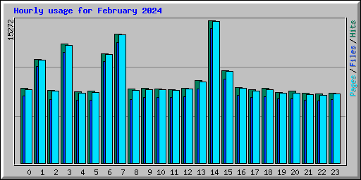 Hourly usage for February 2024