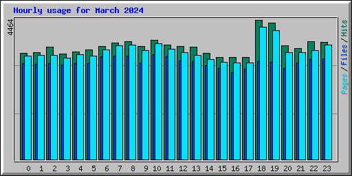 Hourly usage for March 2024