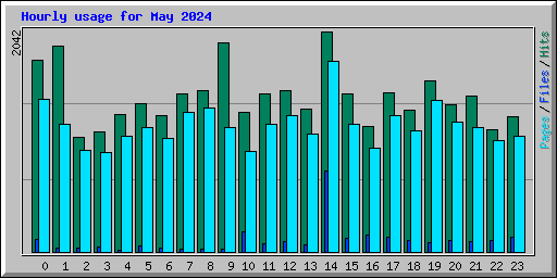 Hourly usage for May 2024