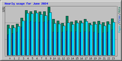 Hourly usage for June 2024