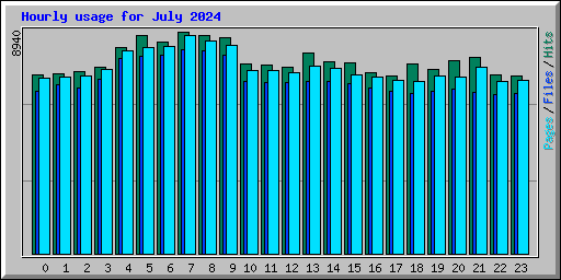 Hourly usage for July 2024