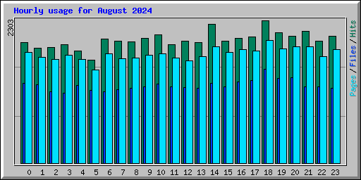 Hourly usage for August 2024