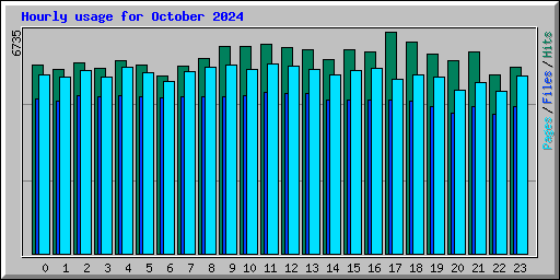 Hourly usage for October 2024