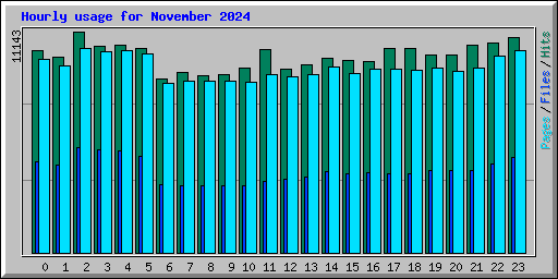 Hourly usage for November 2024