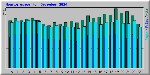 Hourly usage for December 2024