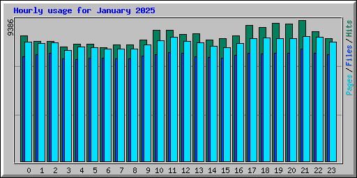 Hourly usage for January 2025