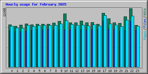 Hourly usage for February 2025