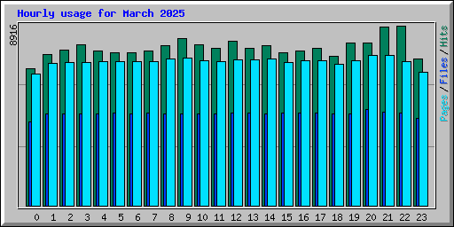 Hourly usage for March 2025