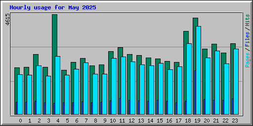 Hourly usage for May 2025