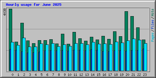 Hourly usage for June 2025