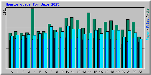 Hourly usage for July 2025