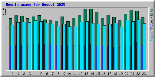 Hourly usage for August 2025