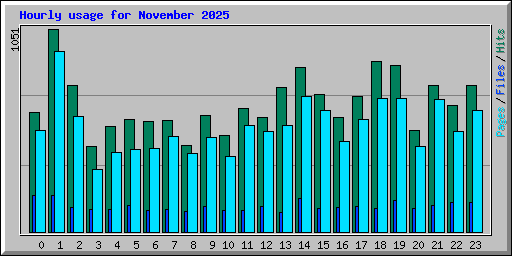 Hourly usage for November 2025