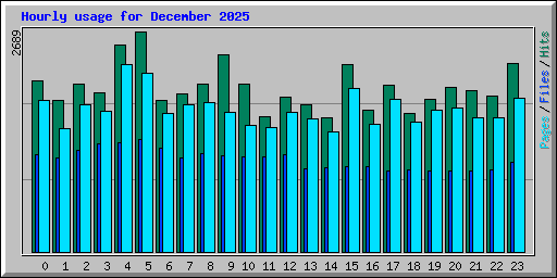Hourly usage for December 2025